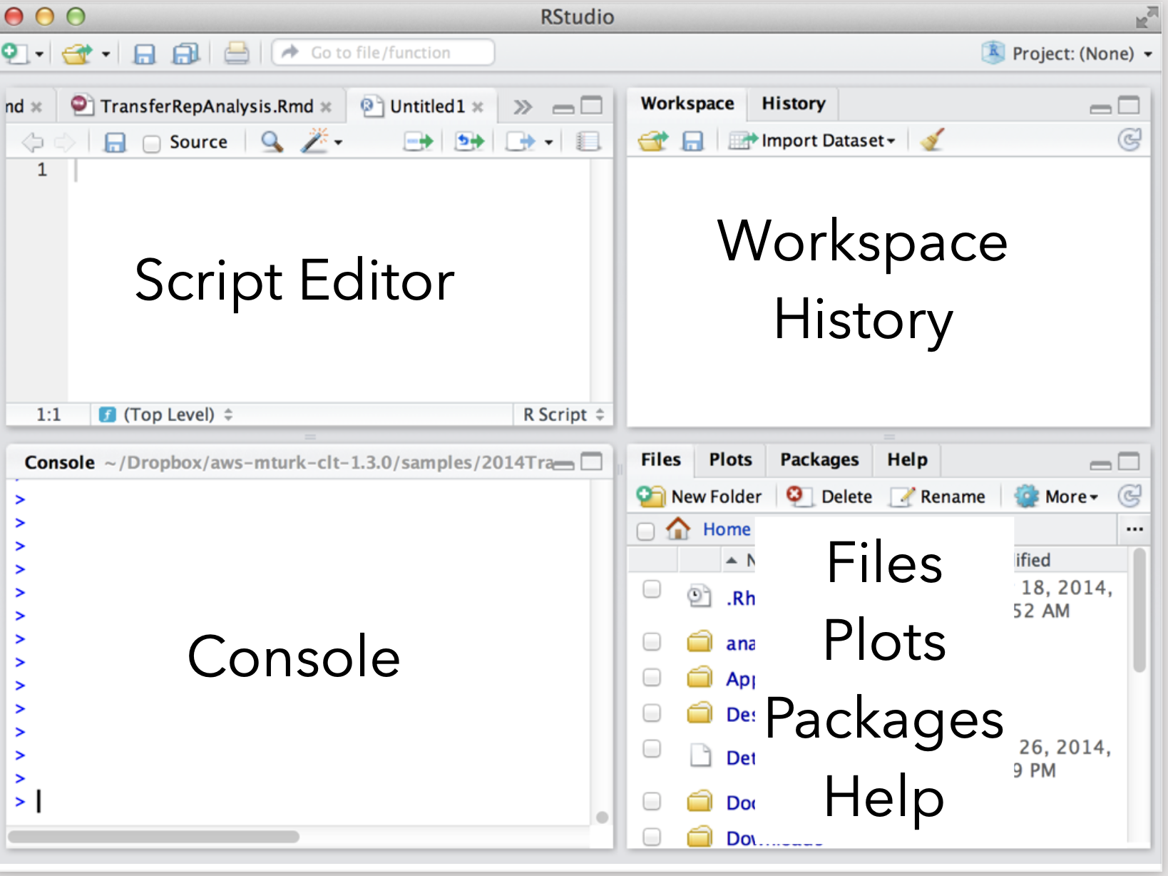 The RStudio workspace